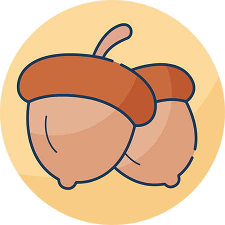 AcornSwap logo