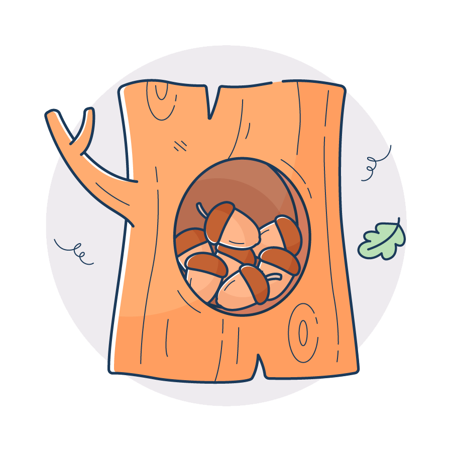 AcornSwap - Acorns in a Tree (liquidity)