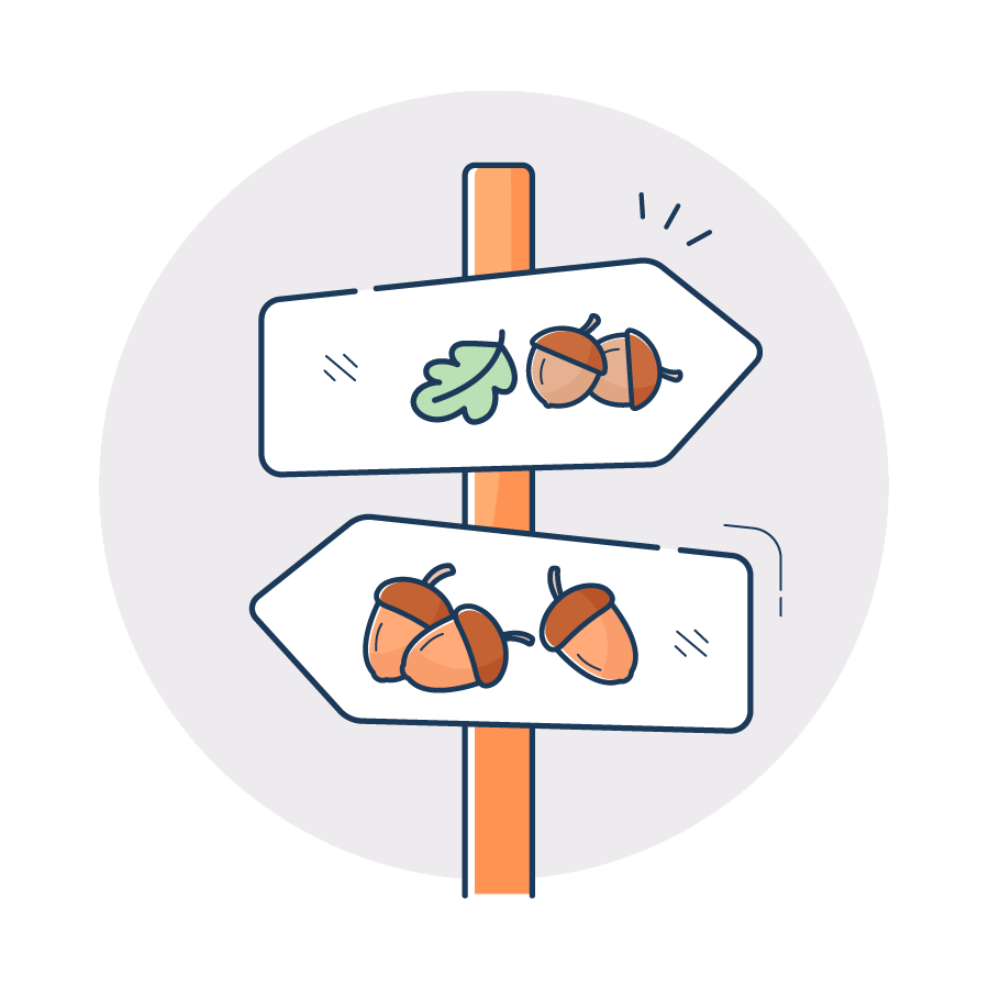 AcornSwap - Program Your Swaps